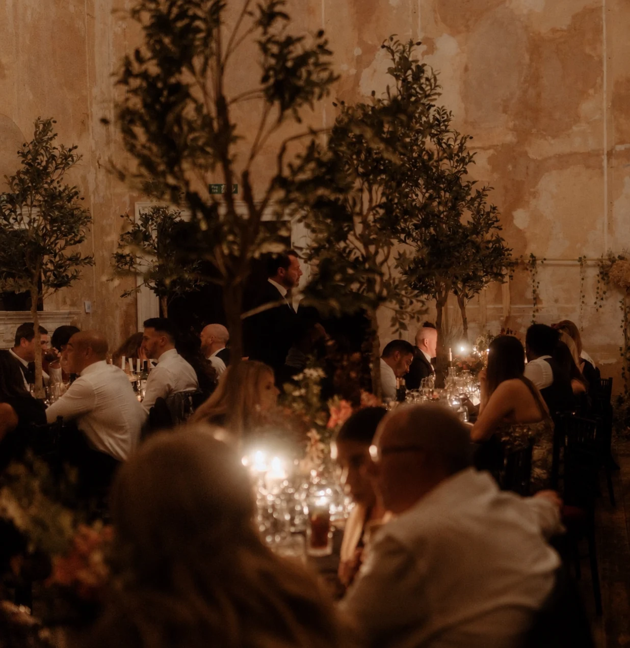 Guests dining at candlelit tables surrounded by trees inside the venue